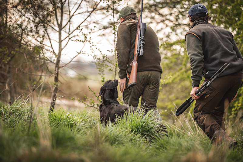 two men walking through woods with greenery around them, they carry guns and are accompanied by a black Labrador who is walking at their heel